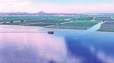 海洋牧場(chǎng)云水謠